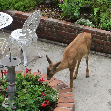 Bed and Breakfast Caprice Roberts Creek Esterno foto