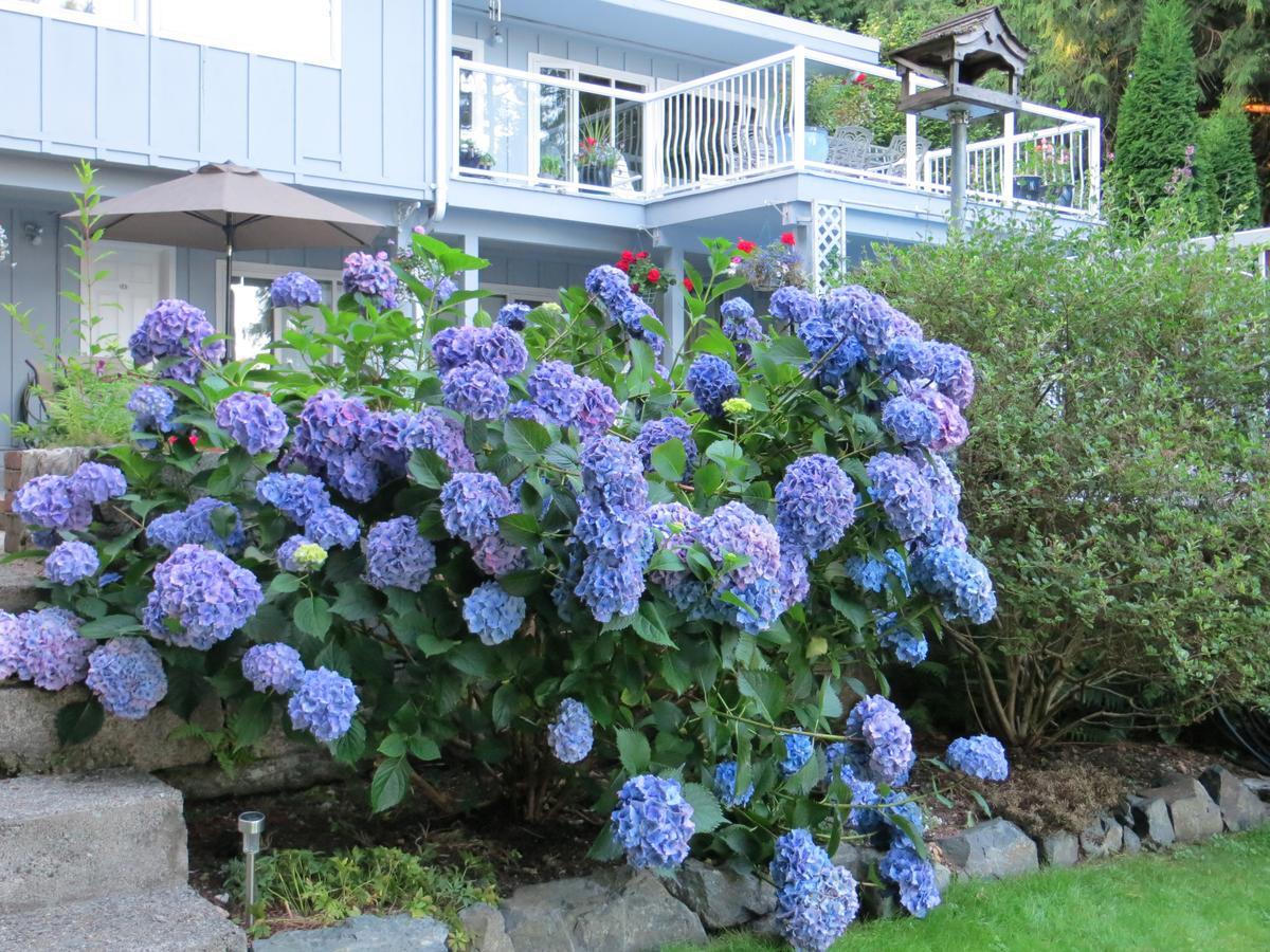 Bed and Breakfast Caprice Roberts Creek Esterno foto